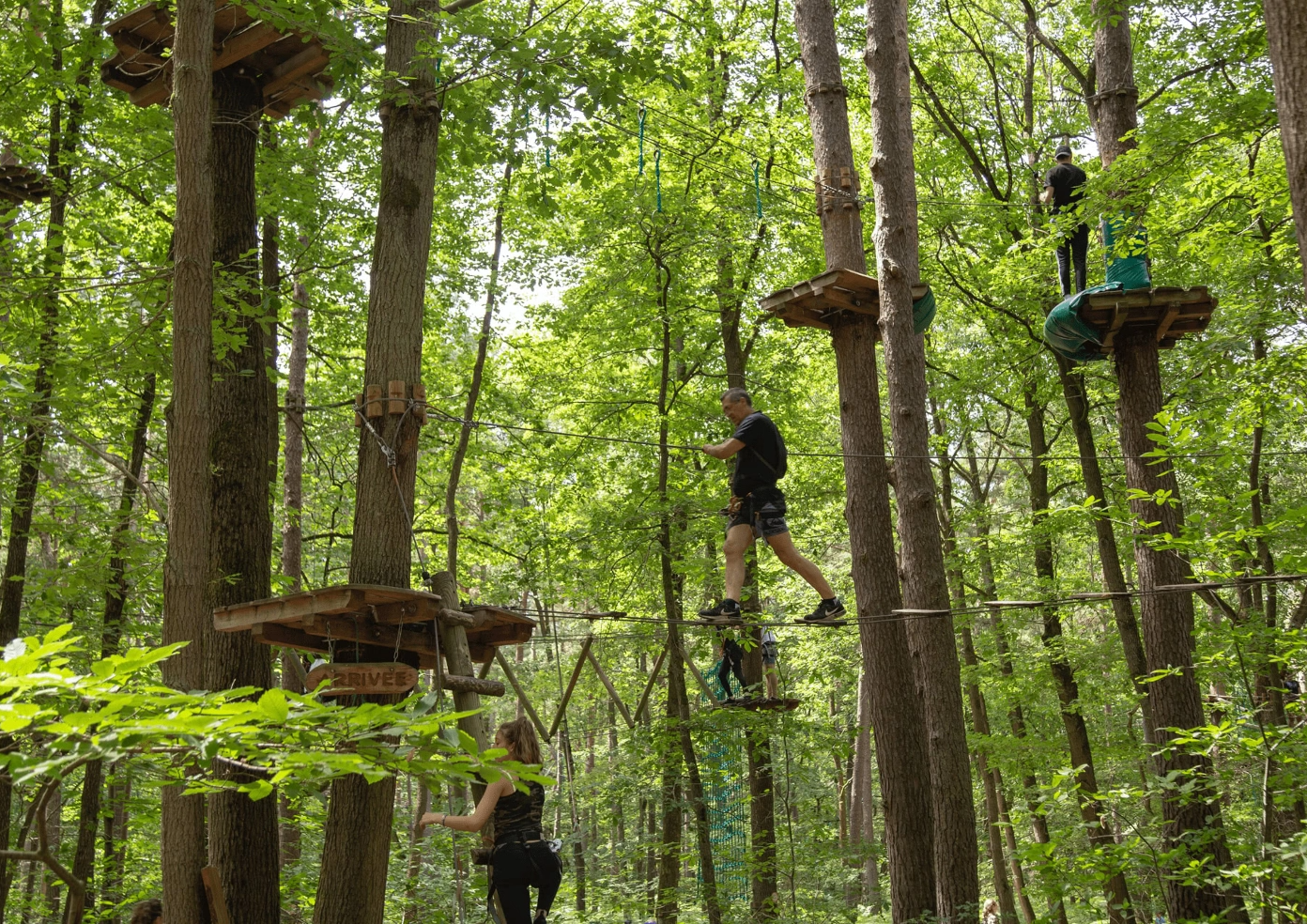 Domaine de la réparade découvrez la nature autrement au coeur du parc Aoubre avec une balade dans les arbres
